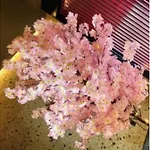 Sakura Sky Hotel - Vacation Stay 18444V